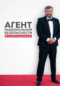 Агент национальной безопасности. Возвращение (2019)